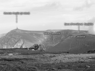 padureadevise.ro