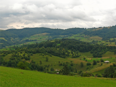padureadevise.ro